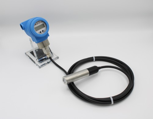 Smart Submersible Level Transmitter with Remote Electronics Terminal Head Version